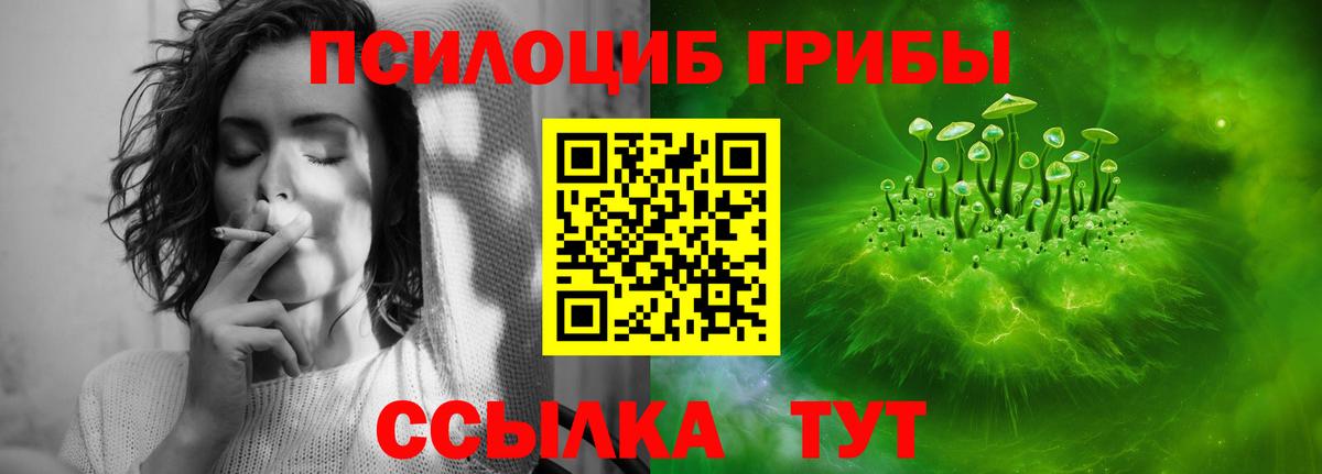 Галлюциногенные грибы GOLDEN TEACHER  Галлюциногенные грибы мицелий  Гатчина  Вход с VPN 