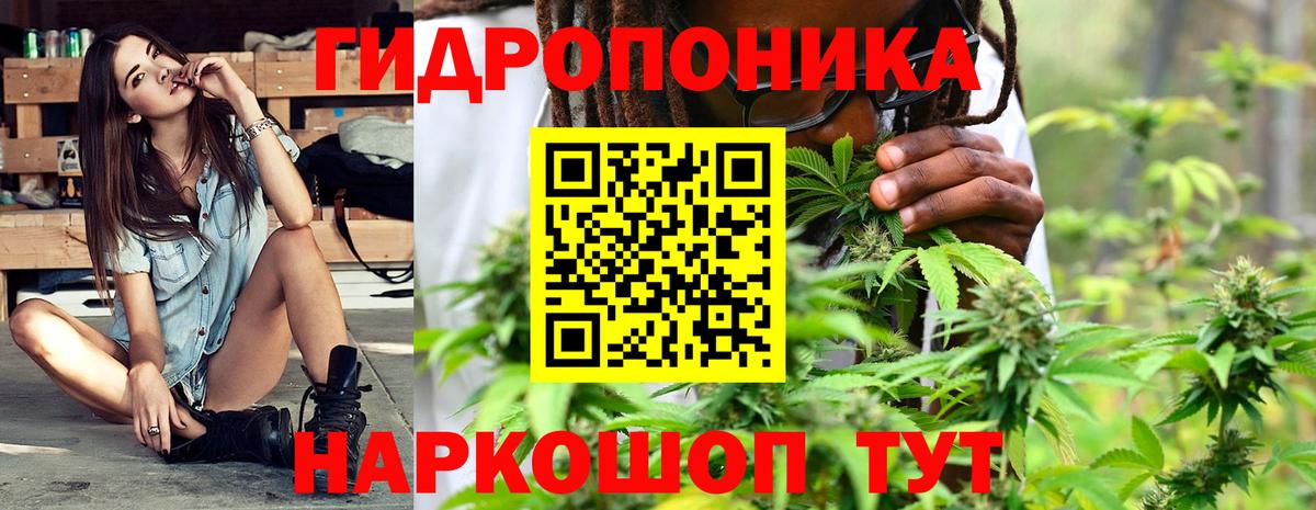 Гатчина  Марихуана ГИДРОПОН  Вход с VPN  МАРИХУАНА MAZAR  Конопля Ganja 